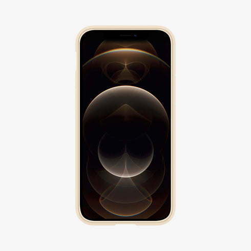 ACS01618 - iPhone 12 Pro Max Case Ultra Hybrid in crystal clear showing the back